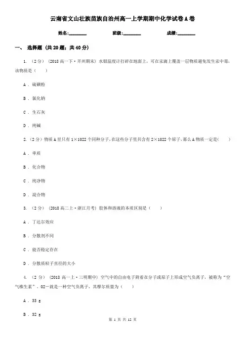 云南省文山壮族苗族自治州高一上学期期中化学试卷A卷(精编)