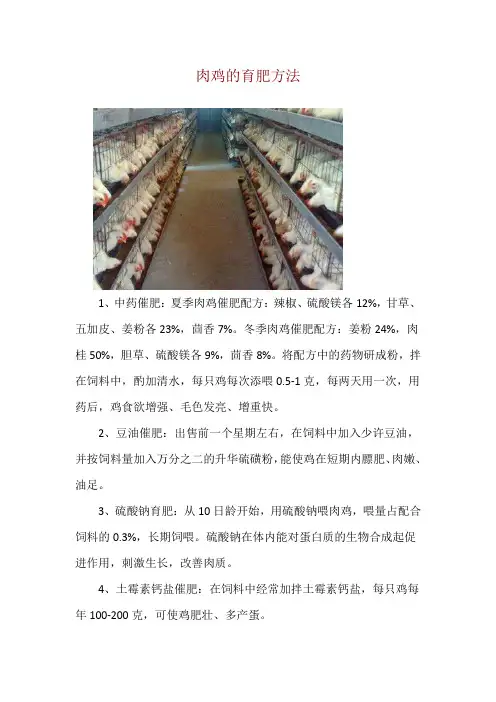 肉鸡的育肥方法