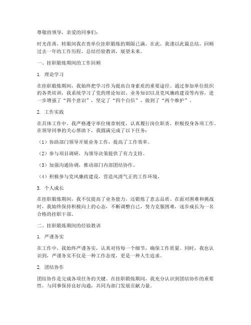 挂职期满年度总结范文