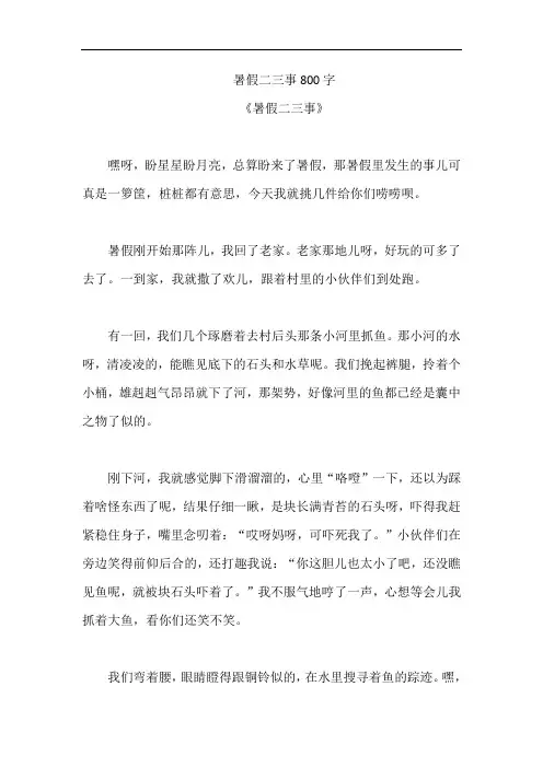 暑假二三事800字