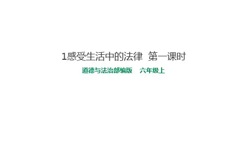 【部编版道德与法治】感受生活中的法律ppt完美版1