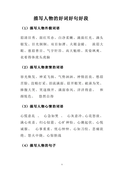 描写人物的好词好句好段