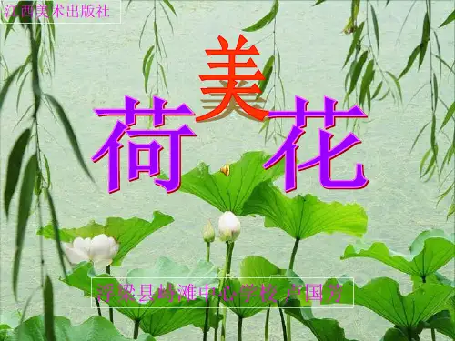 《第5课 荷花美课件》小学美术赣美版《美术》三年级下册4186