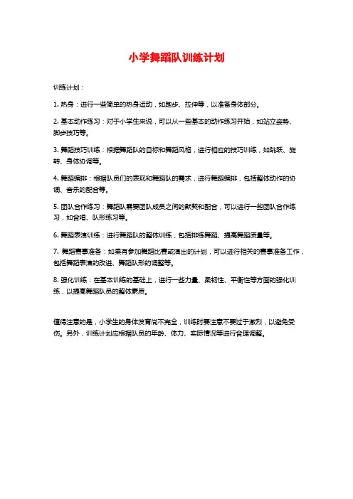 小学舞蹈队训练计划