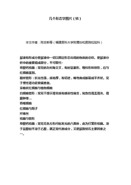 几个形态学图片（转）