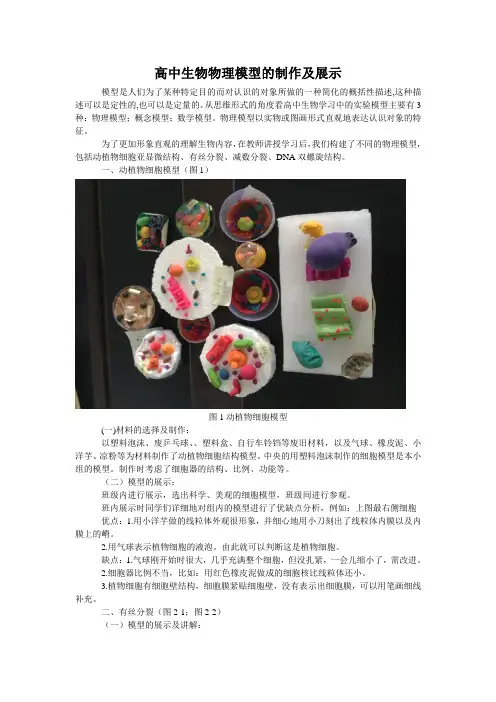 高中生物物理模型的制作及展示