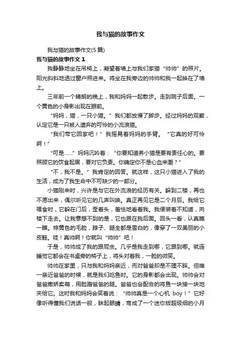 我与猫的故事作文（5篇）