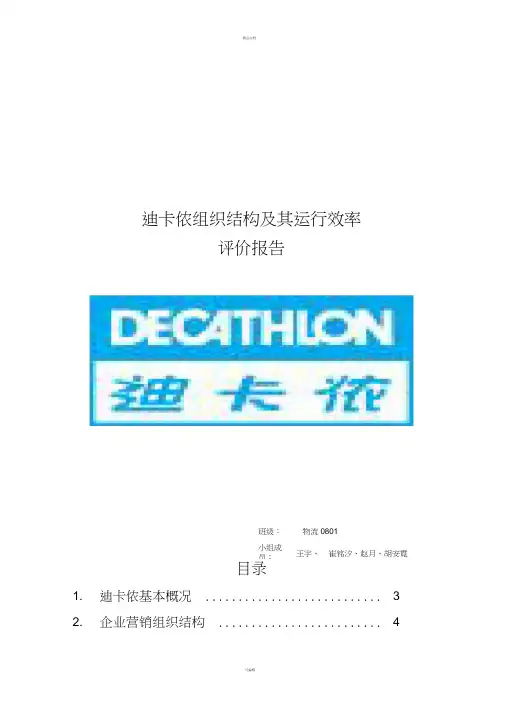 迪卡侬组织结构及其运行效率评价报告