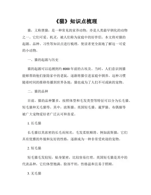 《猫》知识点梳理