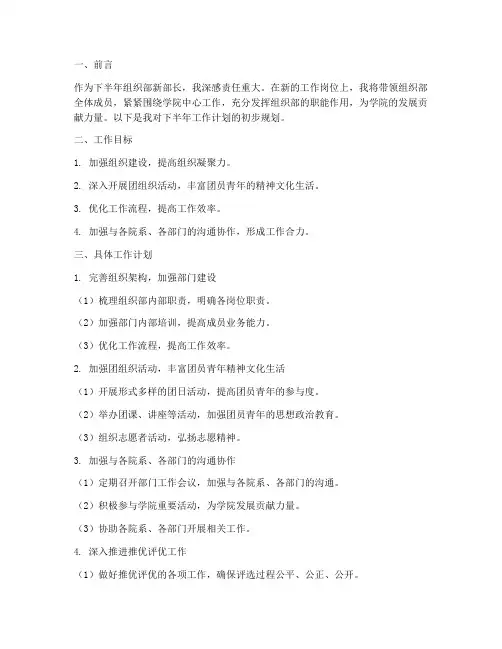 下半年组织部新部长的工作计划