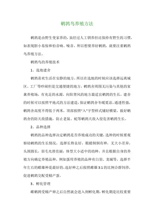鹌鹑鸟养殖方法