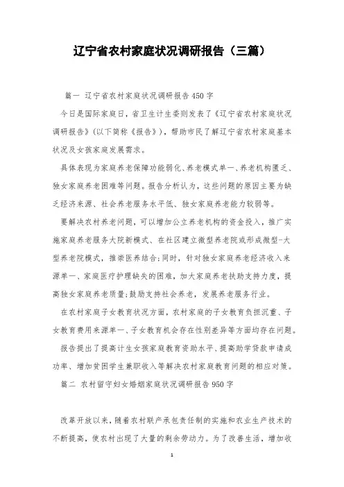 辽宁省农村家庭状况调研报告(三篇)