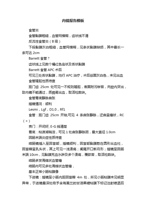 内镜报告模板