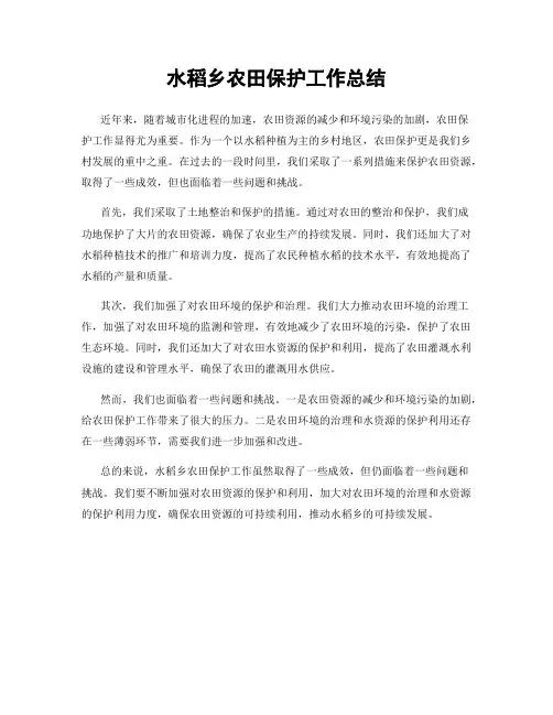 水稻乡农田保护工作总结