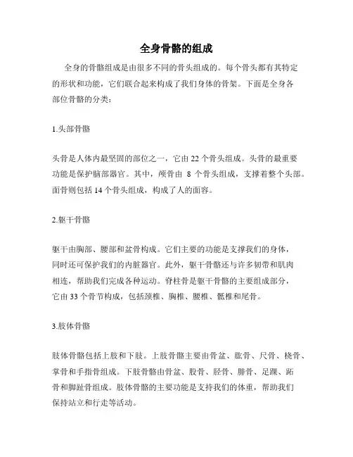 全身骨骼的组成
