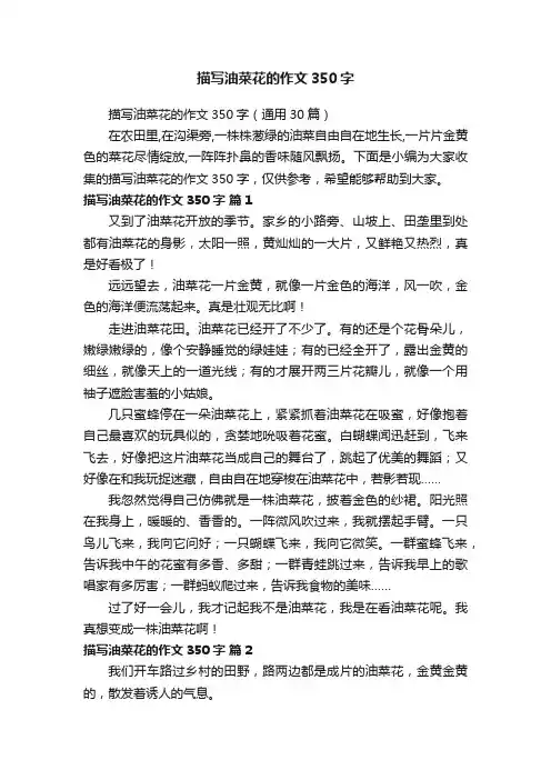 描写油菜花的作文350字