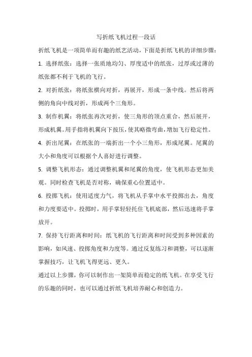 写折纸飞机过程一段话