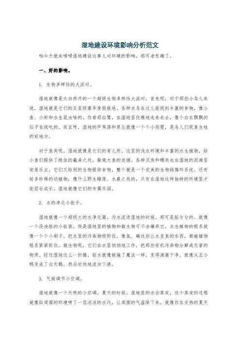 湿地建设环境影响分析范文