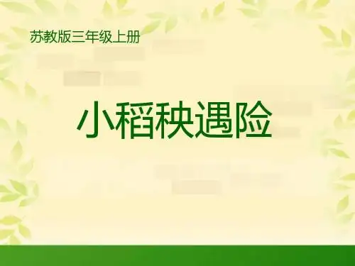 小稻秧脱险记-PPT精品教学课件5