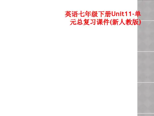 英语七年级下册Unit11-单元总复习课件(新人教版)