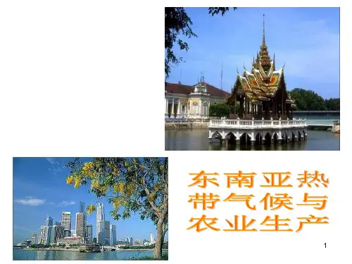 初中地理(七年级下)东南亚气候与农业课件