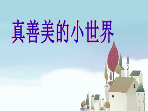 《真善美的小世界》PPT课件二