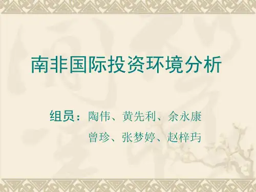 南非国际投资环境分析.pptx