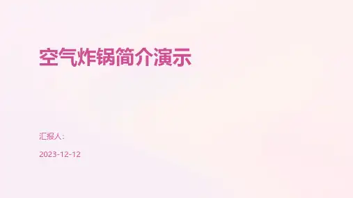 空气炸锅简介演示