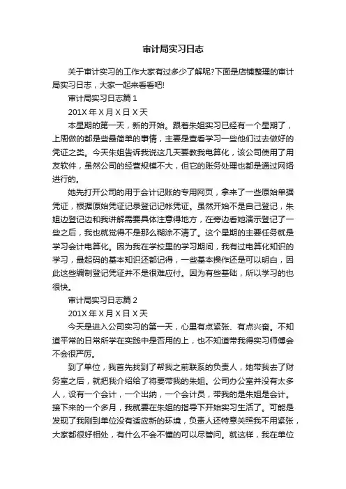 审计局实习日志