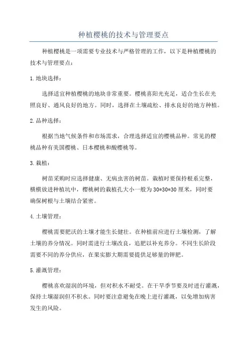 种植樱桃的技术与管理要点