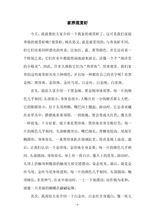 家养观赏虾