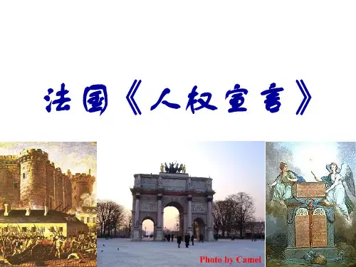 法国人权宣言