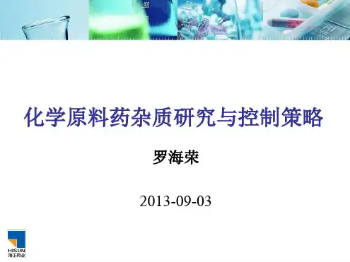 杂质研究思路及控制与去除策略-罗海荣