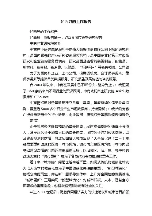 泸西县的工作报告