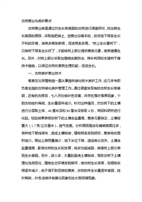 古树复壮与养护要点