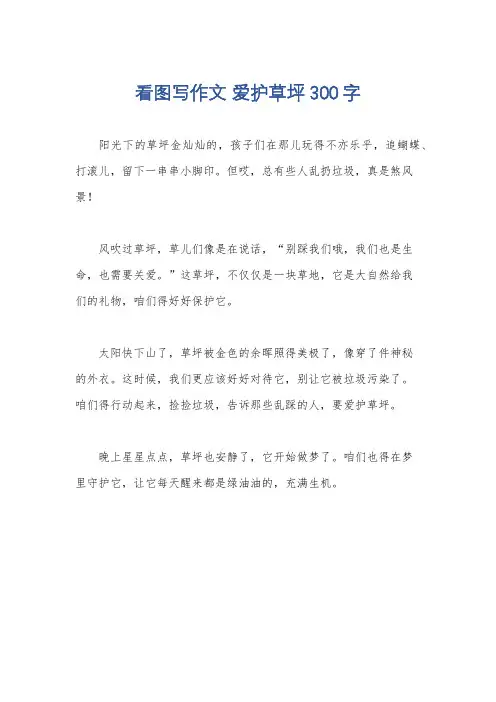 看图写作文 爱护草坪300字