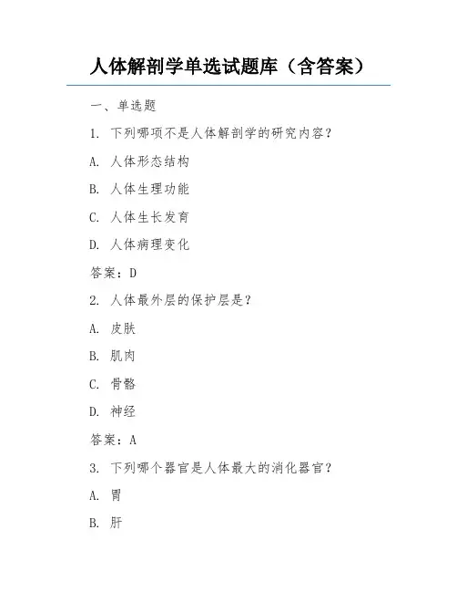 人体解剖学单选试题库(含答案)