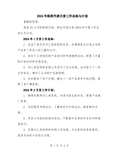2024年医药代表月度工作总结与计划