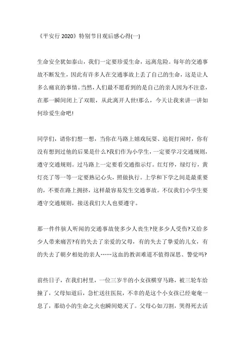 《平安行2020》特别节目观后感心得感悟五篇