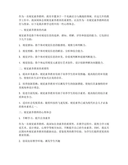 视觉素养教师心得体会范文