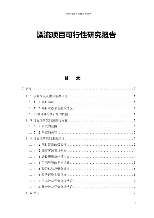 漂流项目可行性研究报告