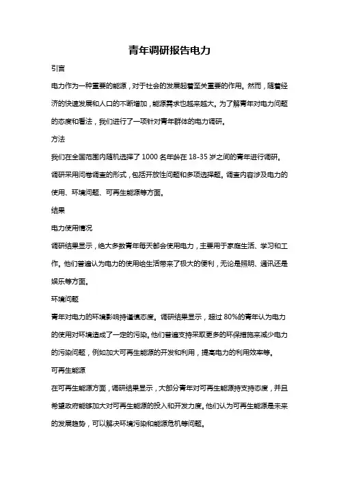 青年调研报告电力