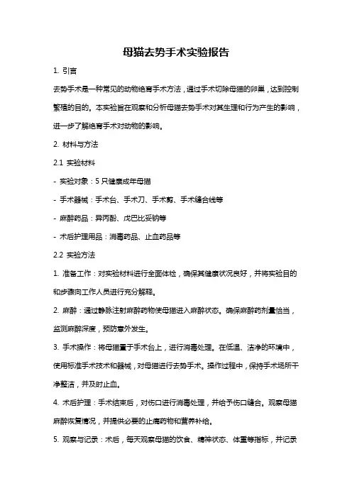 母猫去势手术实验报告