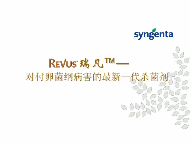 瑞凡