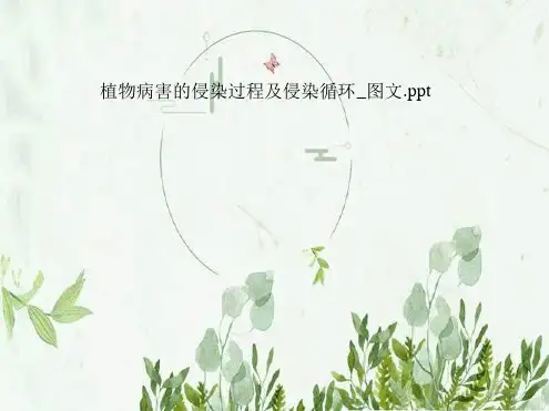 植物病害的侵染过程及侵染循环 图文