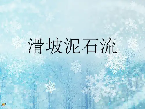滑坡泥石流