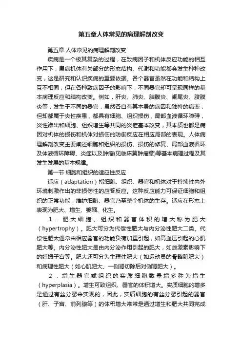 第五章人体常见的病理解剖改变