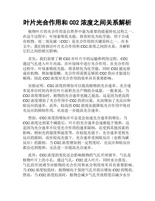 叶片光合作用和CO2浓度之间关系解析