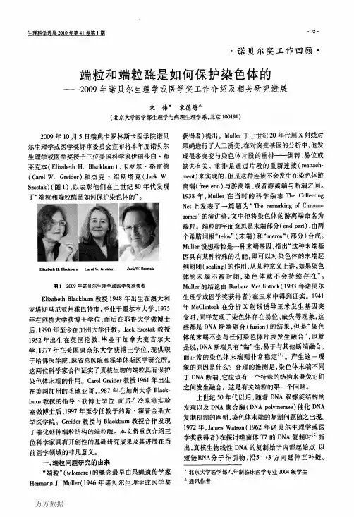 端粒和端粒酶是如何保护染色体的——2009年诺贝尔生理学或医学奖工作介绍及相关研究进展