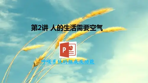 中考生物复习：人的生活需要空气ppt 济南版PPT精选课件